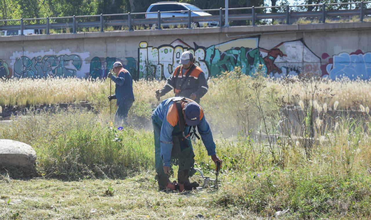 Tadeo y Marcelino recorrido obras conjuntas 9