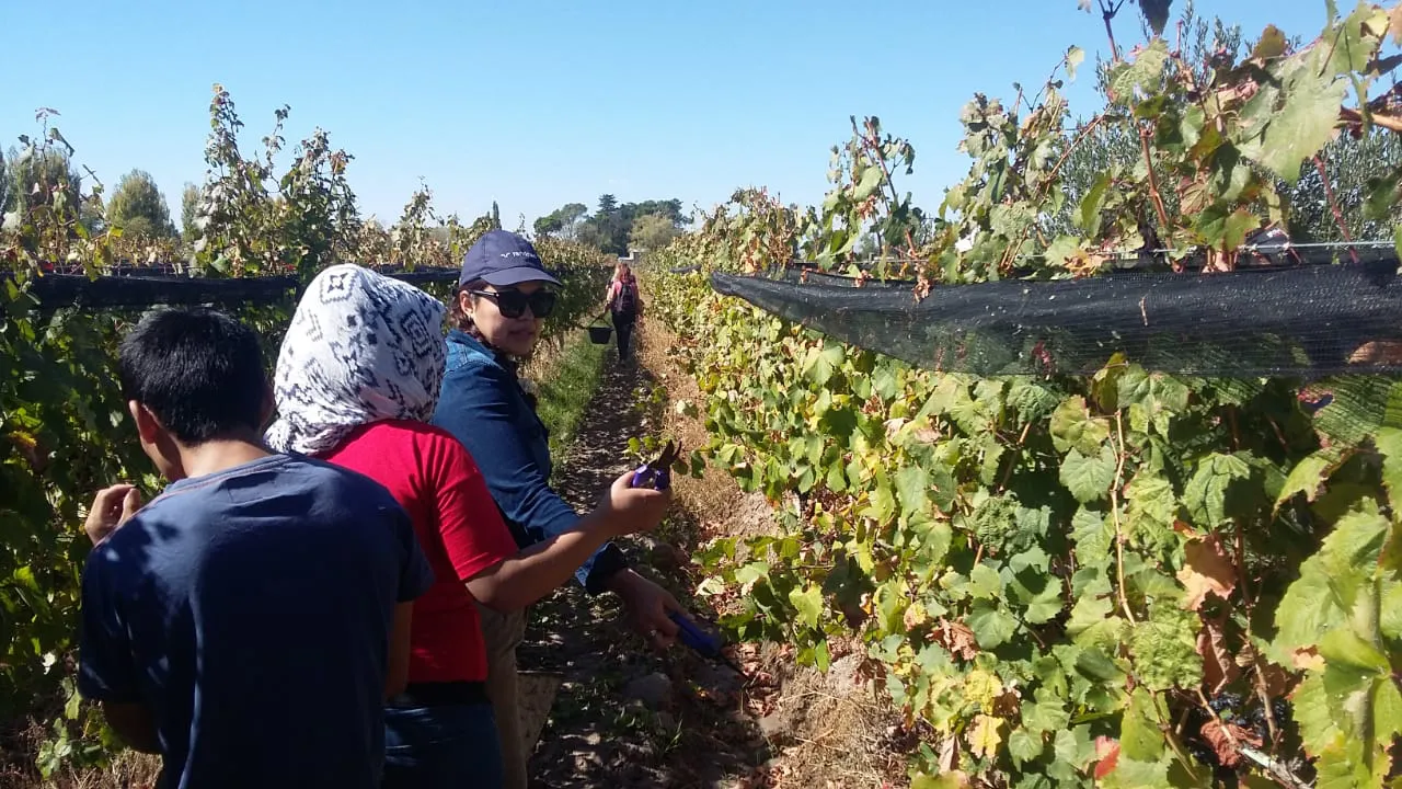 formacion vitivinicola escuelas (1)