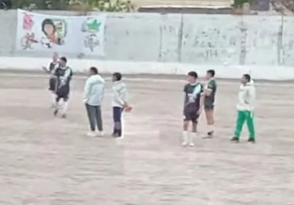 Futbol sanjuanino, San Darmián-Arbol Verde