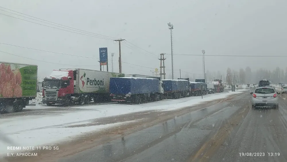 WhatsApp Image 2023-08-19 at 13.51.53