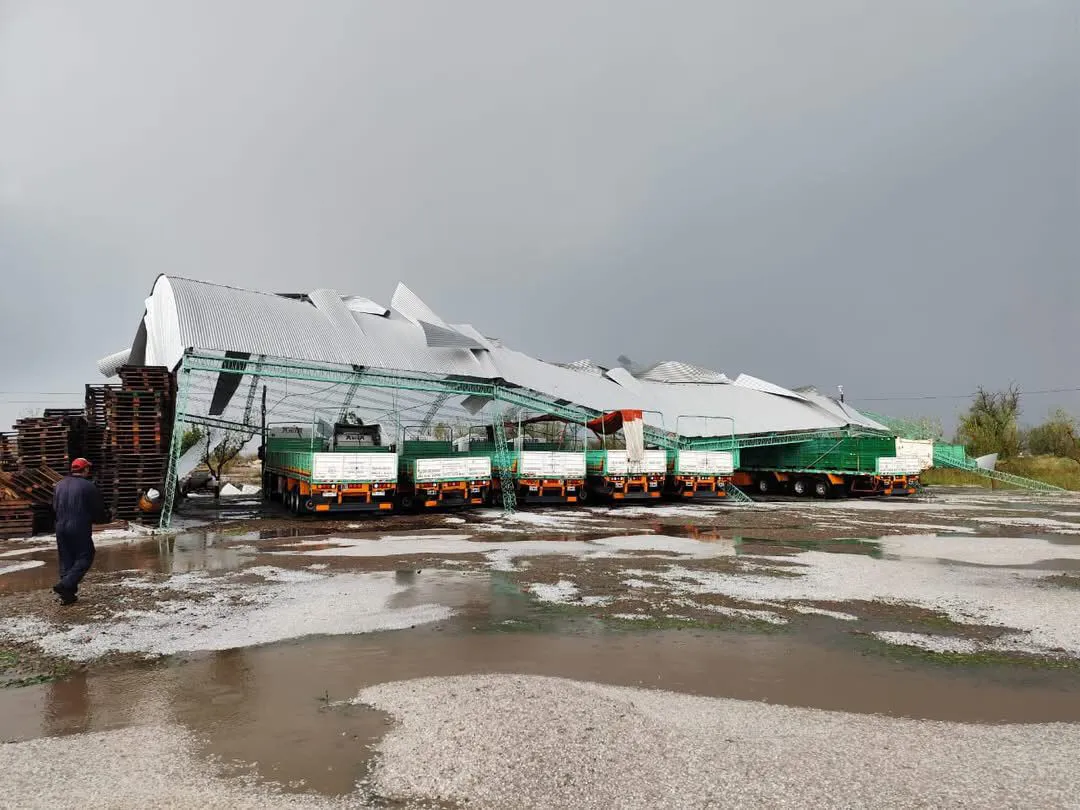 real del padre 06012025