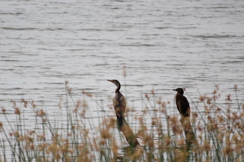 Voluntariado Joven 2