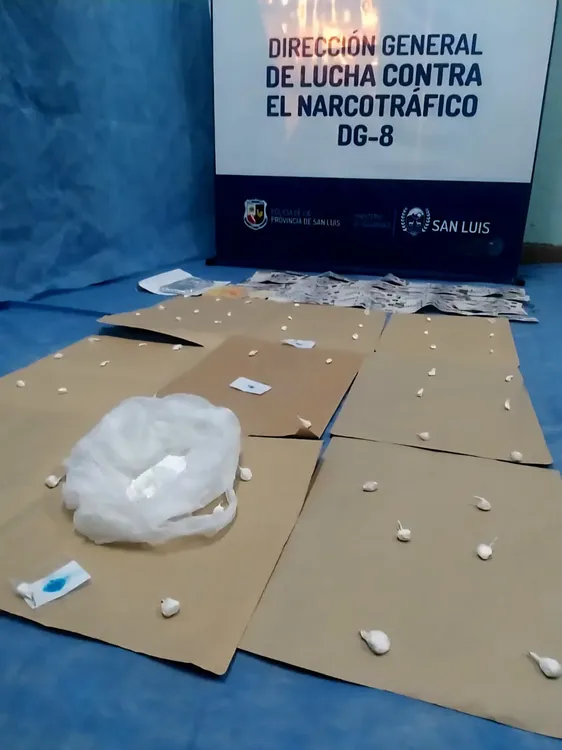 WhatsApp Image 2025-10-10 at 1.26.57 PM