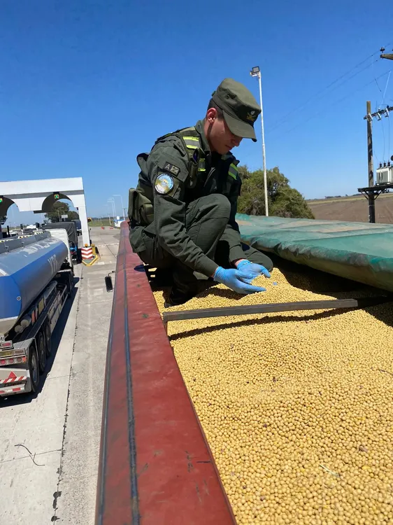 Córdoba  30mil kg soja