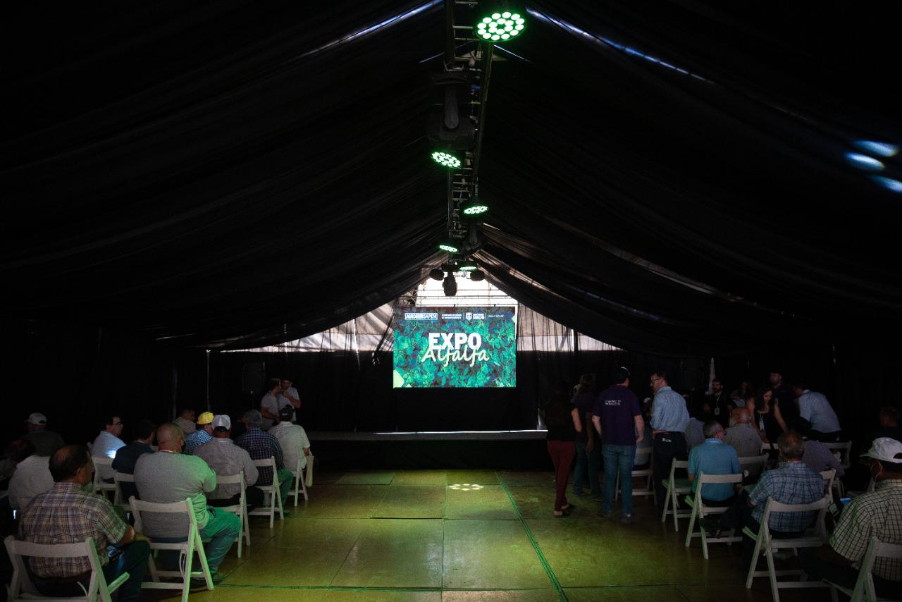 expo alfalfa 4