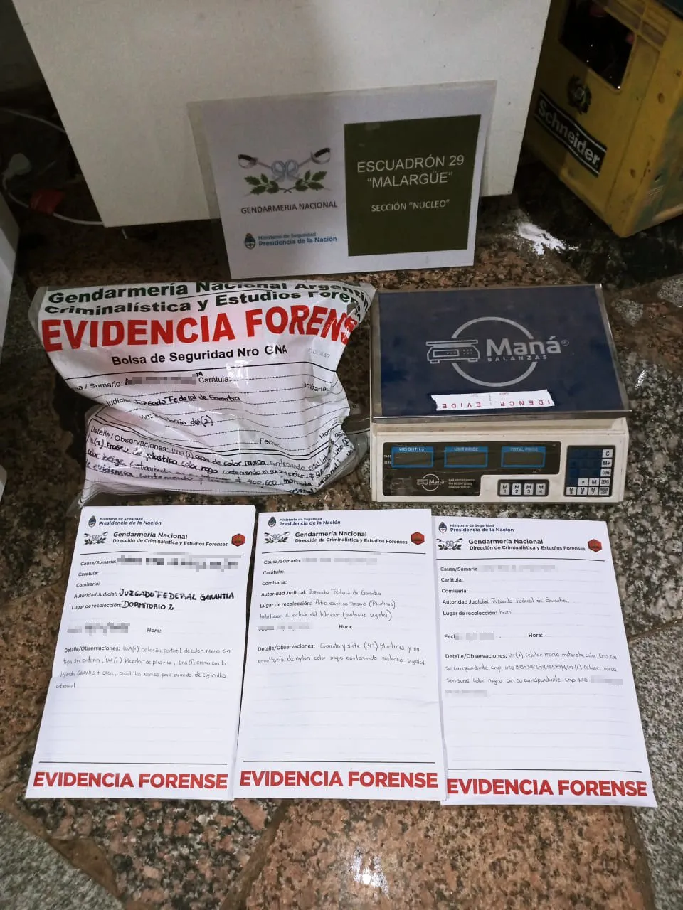 Mendoza allanamiento cocaína (1)