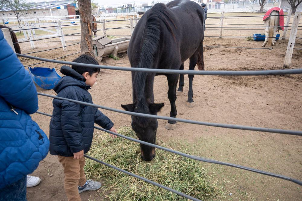 jornada-reiki-en-equnoterapia-22-06-2024_02-scaled