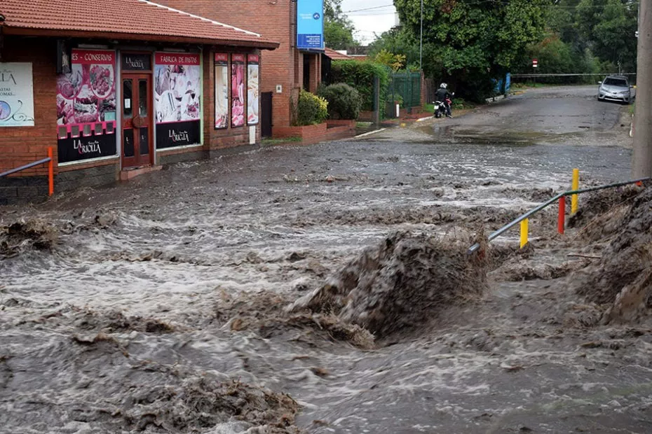 WhatsApp Image 2023-03-22 at 17.29.27 (1)