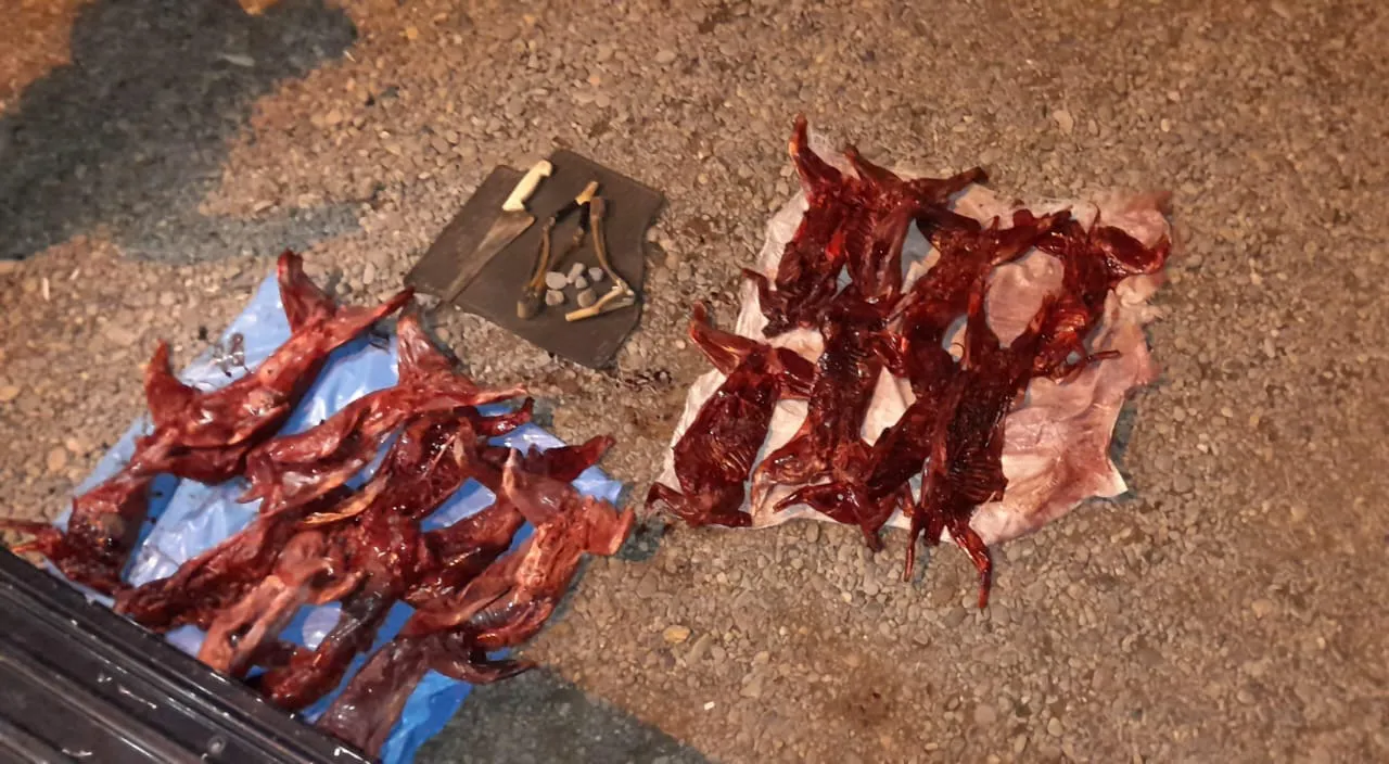 animales silvestres faenados (1)