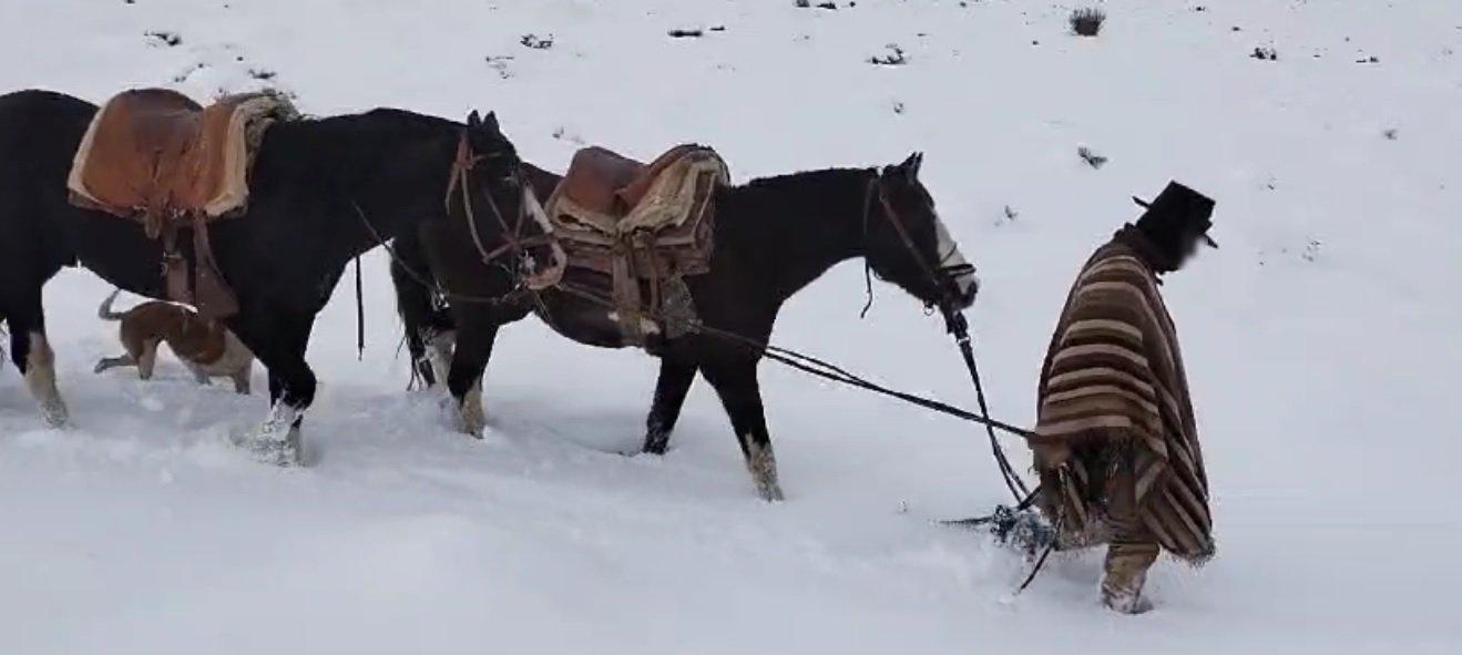 Rescate Gendarmería en Malargüe
