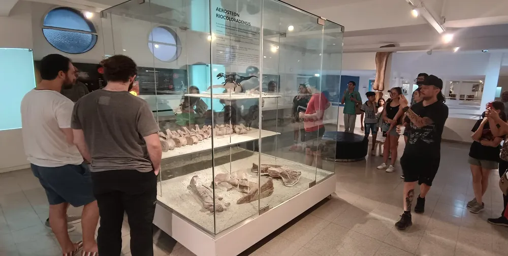 aerosteon museo moyano