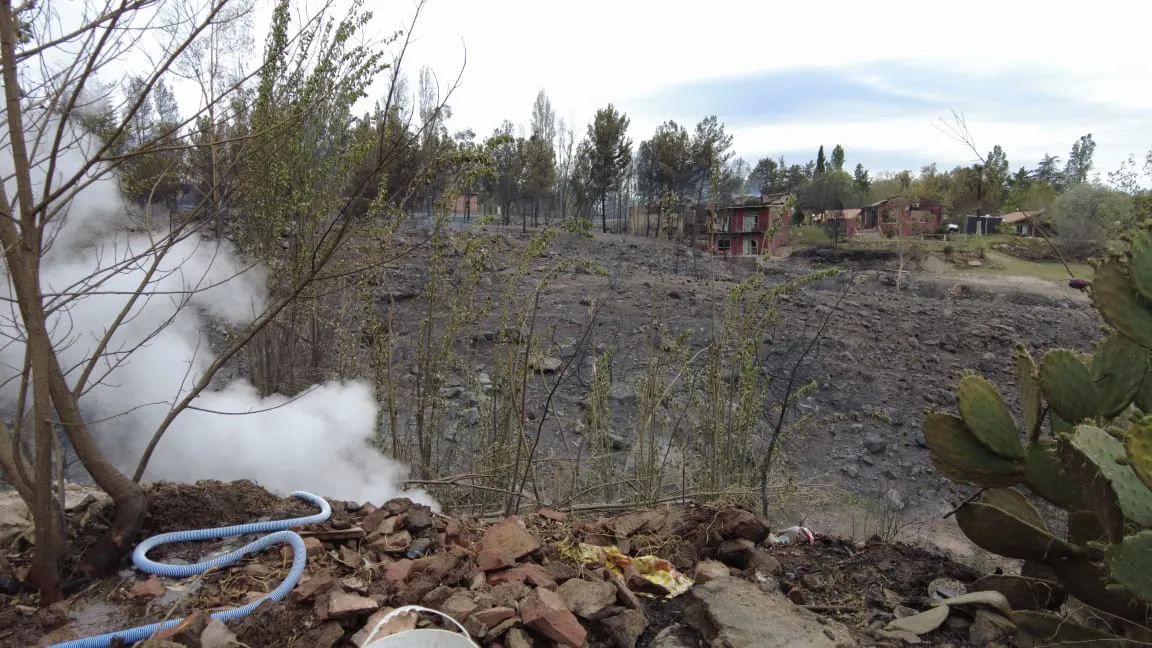 WhatsApp Image 2023-10-31 at 10.53.31