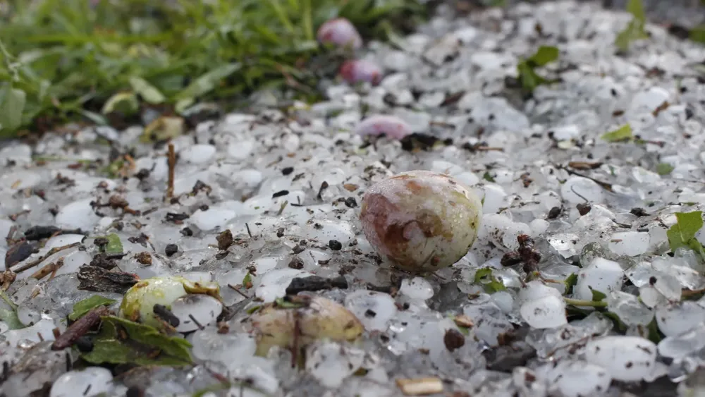 granizo san rafael 2024