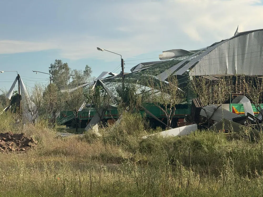 real del padre 06012025