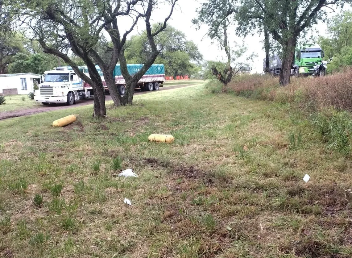 WhatsApp Image 2025-10-17 at 9.21.14 PM