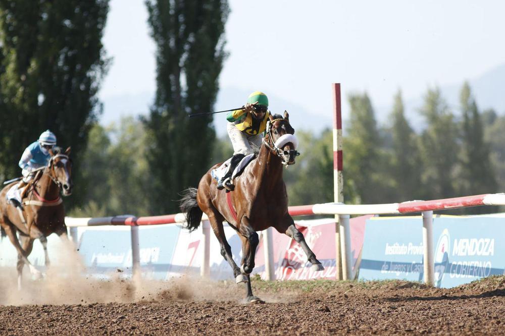 Gran Premio Vendimia de turf, ganó Macklin