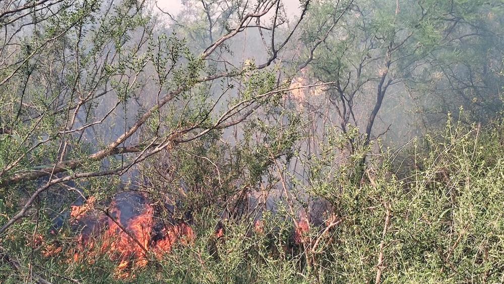 incendios forestales