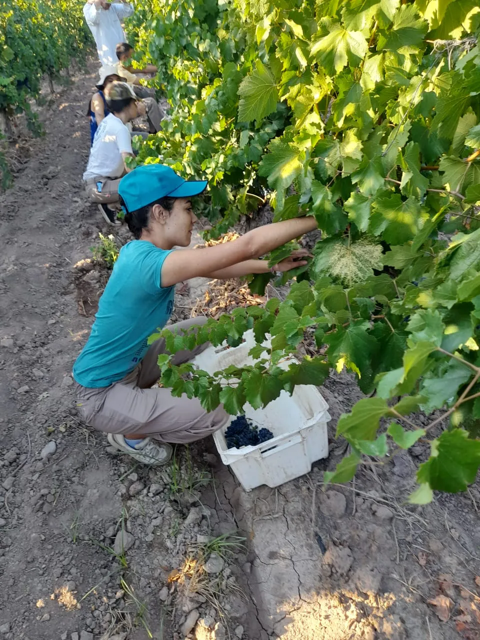 formacion vitivinicola escuelas (16)