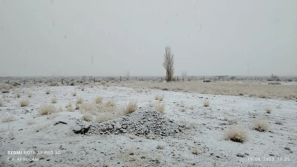 WhatsApp Image 2023-08-19 at 13.51.54 (2)