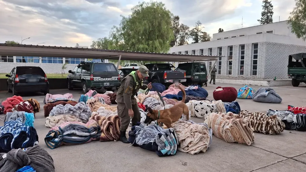 Mendoza contrabando de mercadería (4)