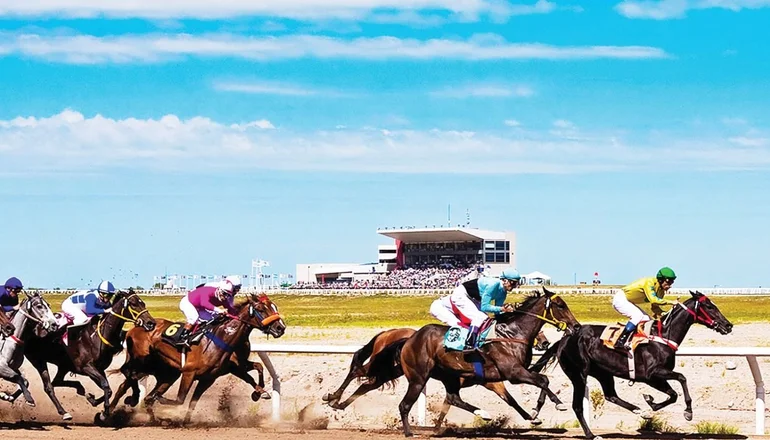 Turf, Hipódromo  de La Punta