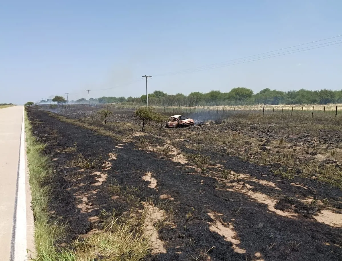 WhatsApp Image 2026-01-05 at 9.25.17 PM (1)