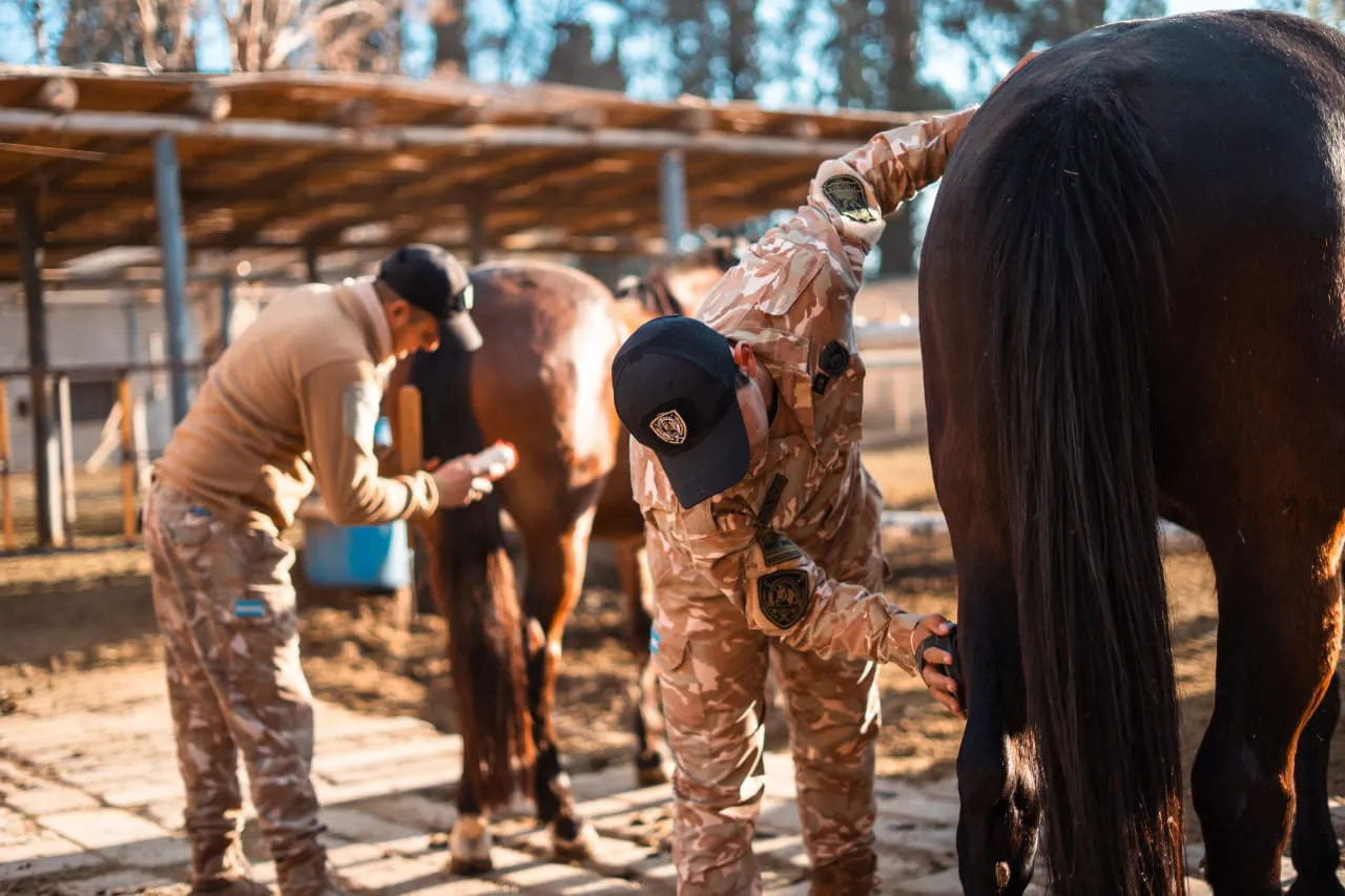 WhatsApp Image 2025-07-24 at 8.40.31 PM