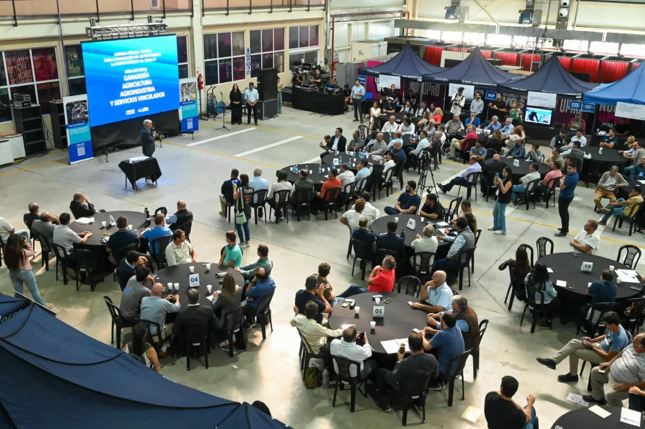 WhatsApp-Image-2026-02-28-at-10.22.26