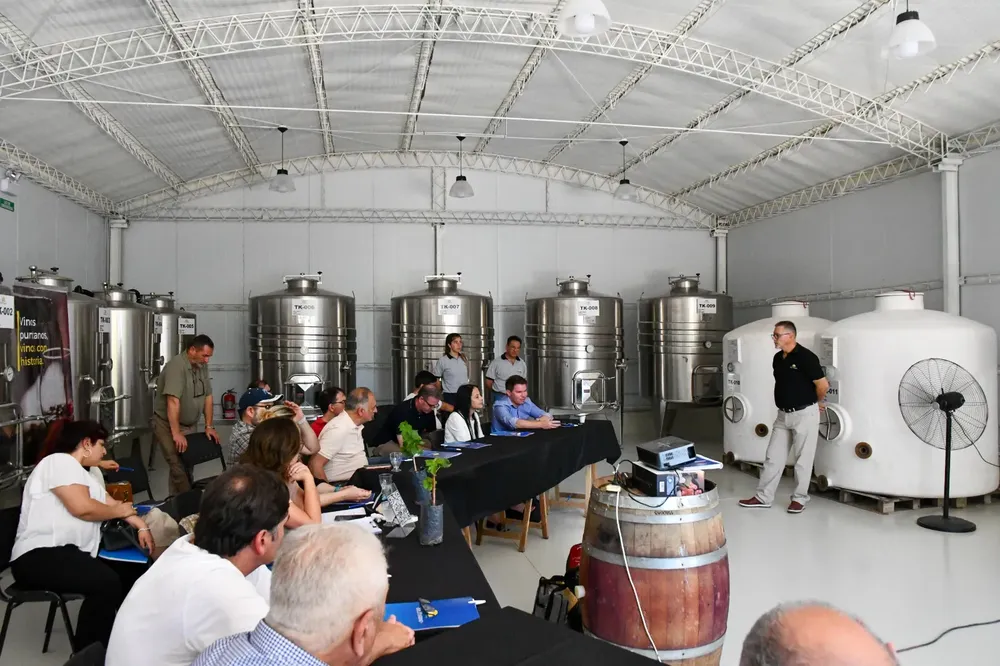 mesa vitivinícola provincial sl 2