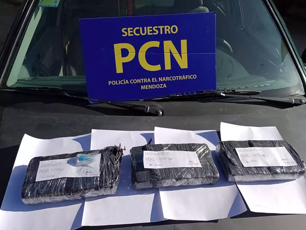 secuestro cocaina ruta 40 (2)