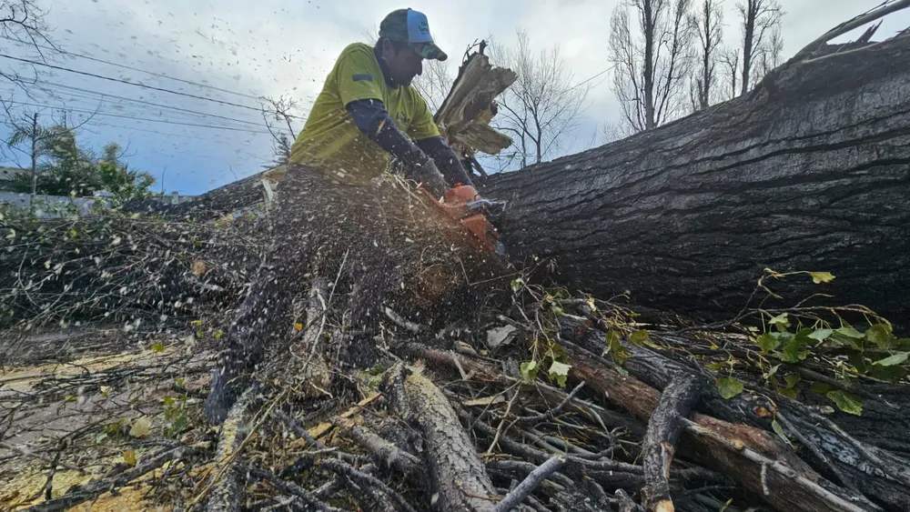 WhatsApp Image 2023-07-21 at 19.36.19