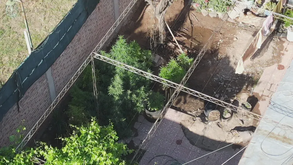 Mendoza allanamientos (1)