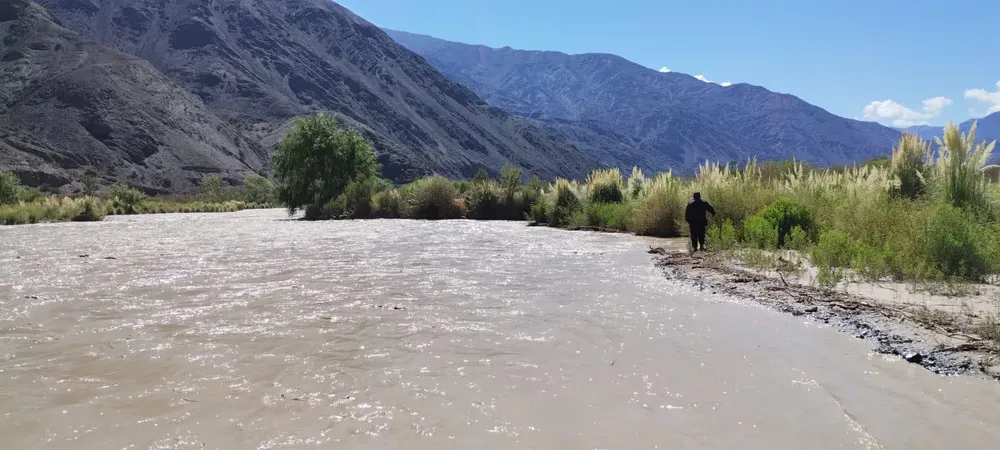 WhatsApp Image 2025-01-17 at 1.13.45 PM