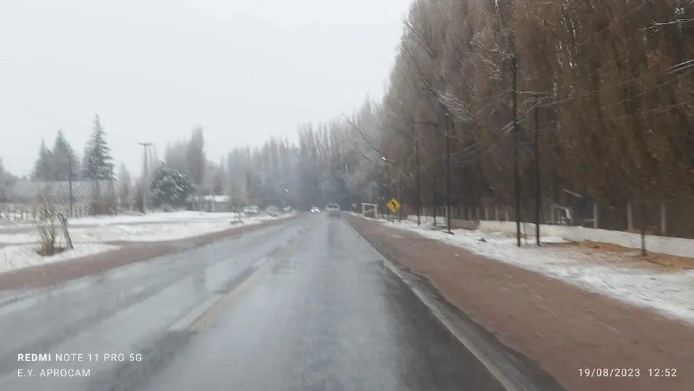 WhatsApp Image 2023-08-19 at 13.51.54 (1)