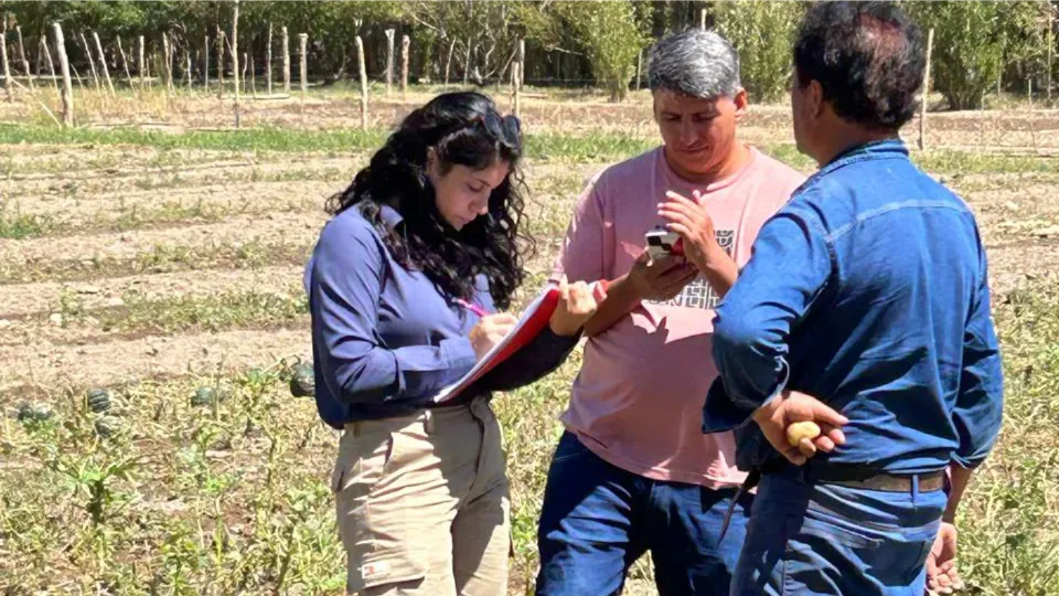 09e8151f-569b-4a0f-8687-c417d9e2a561