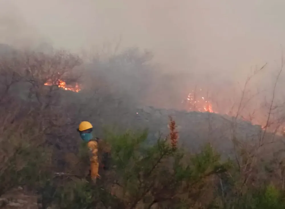 bomberos san luis en campo