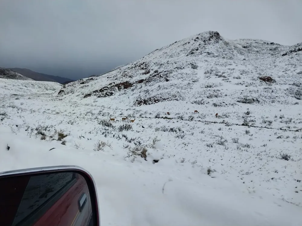 WhatsApp Image 2023-08-21 at 19.17.10