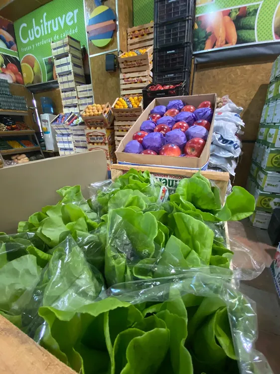 WhatsApp Image 2023-07-26 at 12.57.22