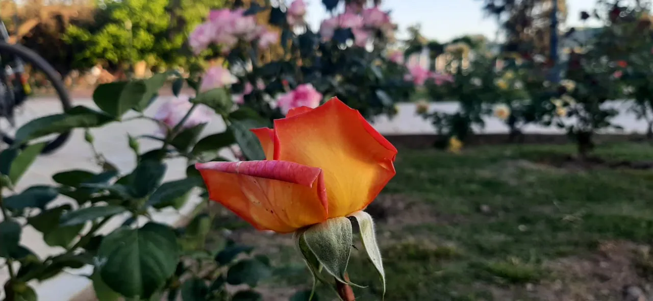 WhatsApp Image 2023-10-27 at 23.36.24 (1)