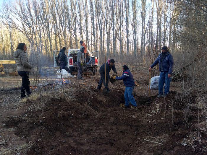 ForestalesAlvear3-700x525