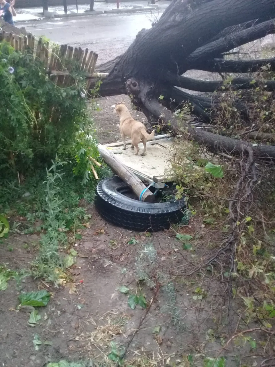 WhatsApp Image 2025-01-23 at 9.49.15 PM