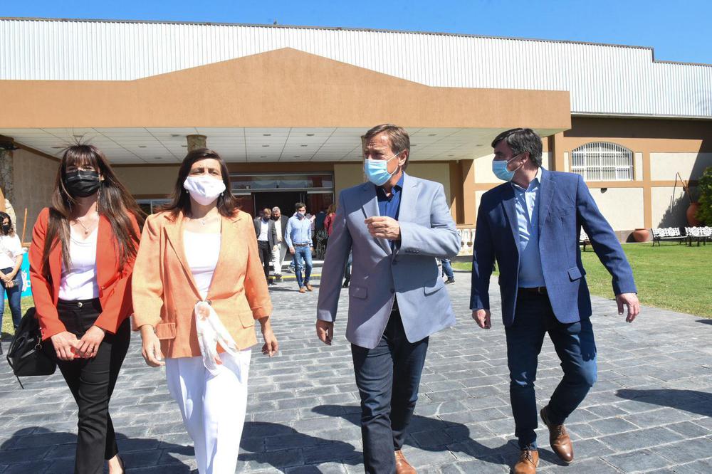 Suarez plan semilla (5)