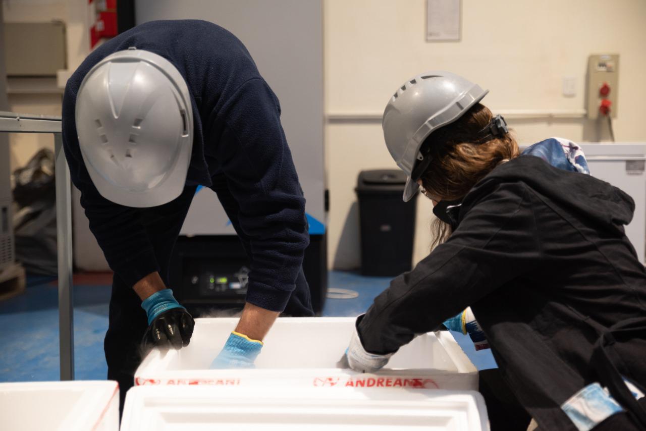 c52066f6-5313-4ff6-8894-b43aa8755f8f