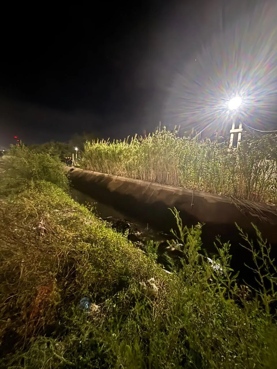 WhatsApp Image 2026-01-18 at 11.39.00 AM