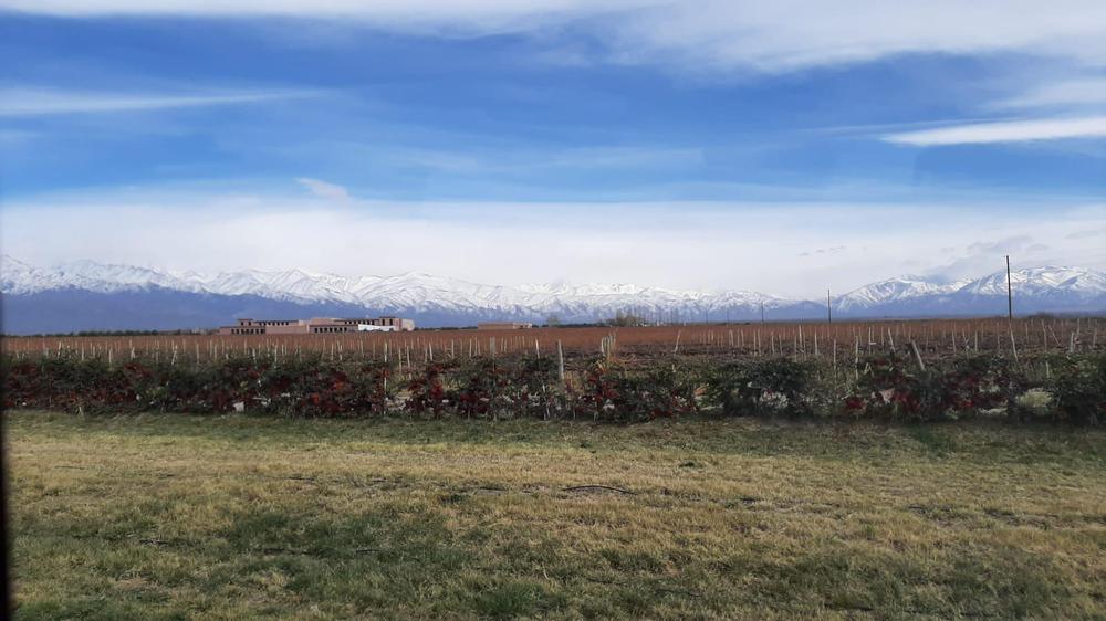 WhatsApp Image 2021-08-28 at 18.55.17