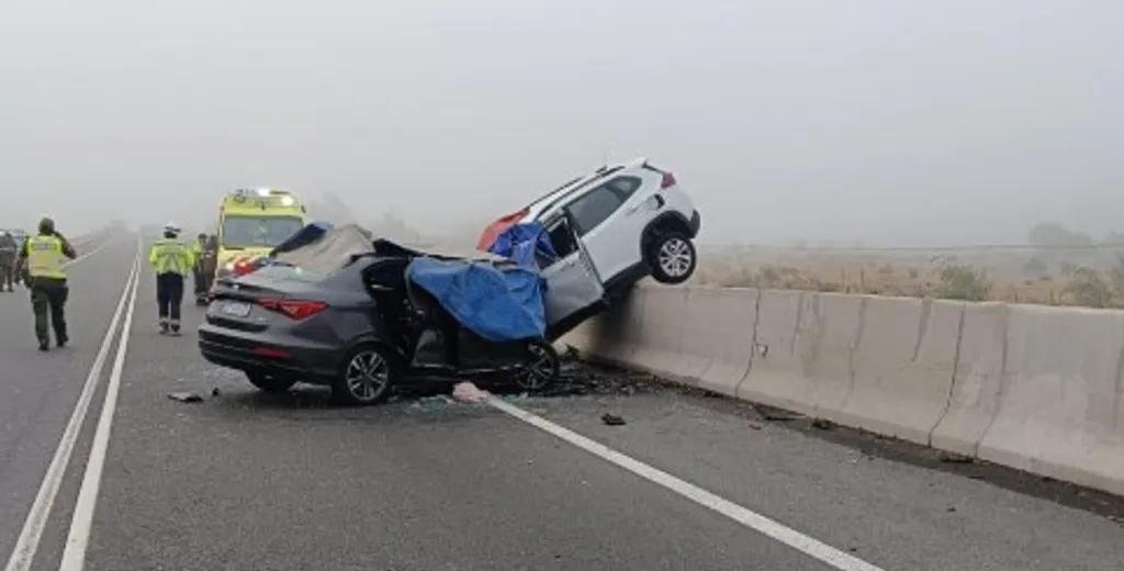 d0b406a5-ba41-4824-9ff4-c9a5518f45ff-large-standard-q100