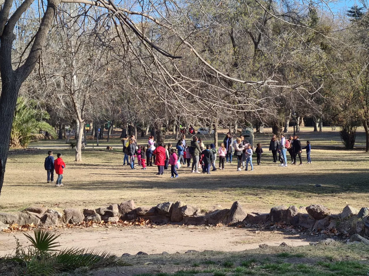forestación parque san martin 3