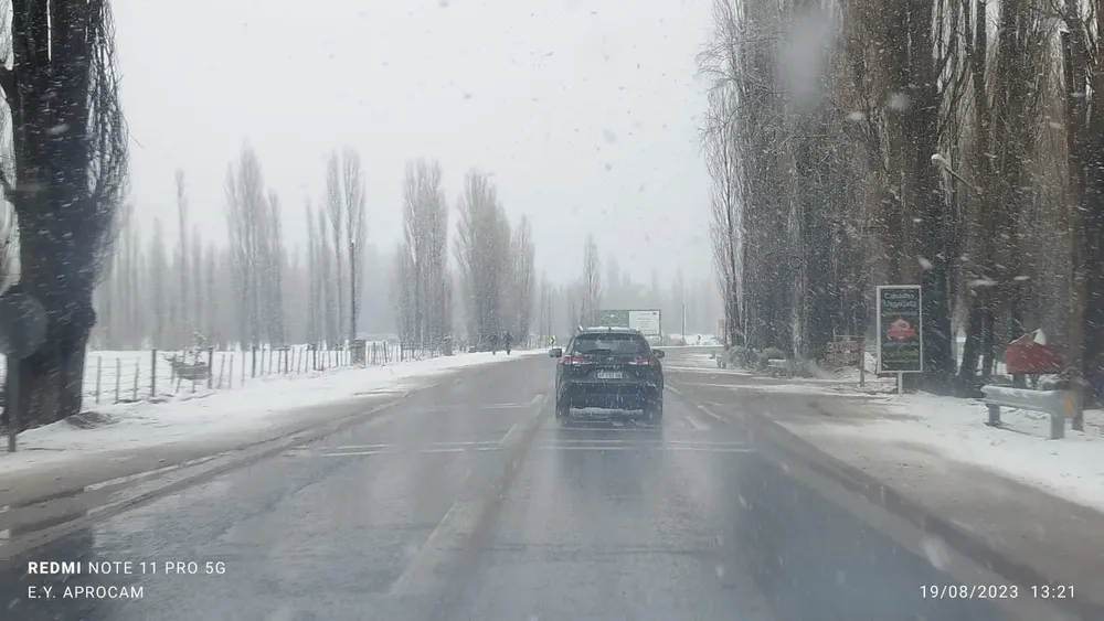 WhatsApp Image 2023-08-19 at 13.52.49