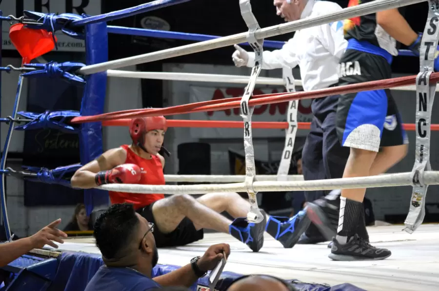 Boxeo, búsqueda de talentos