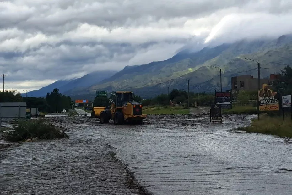 WhatsApp Image 2023-03-22 at 17.29.29